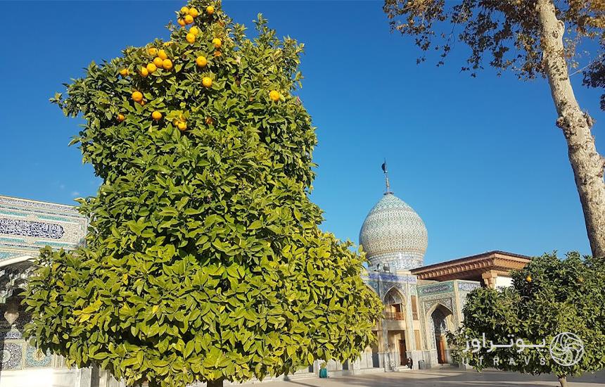 بارگاه امامزاده سید میر محمد در حرم شاهچراغ شیراز